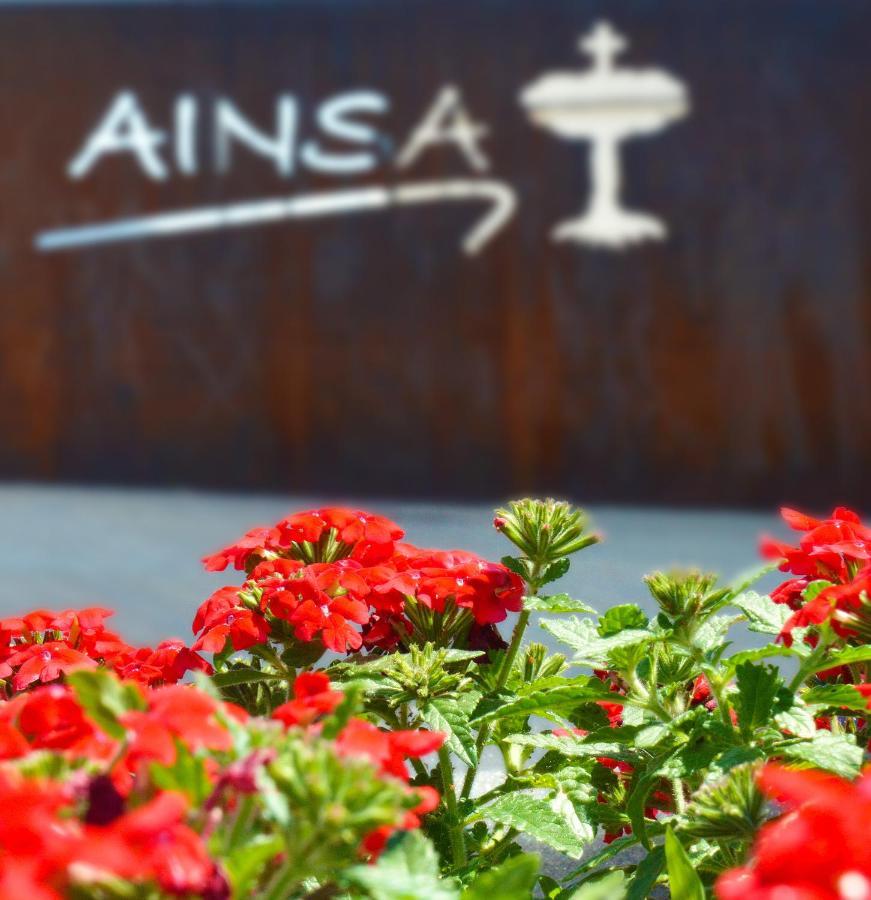 Guest House Ainsa Pirineos Экстерьер фото